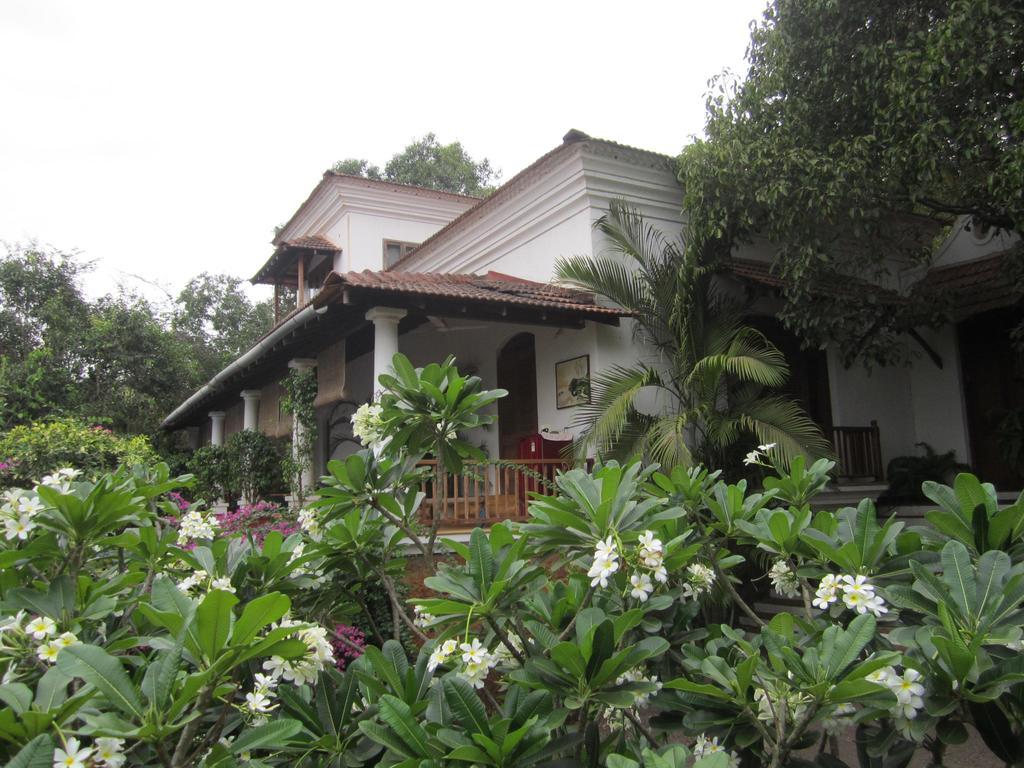 Capella Hotel Parra Exterior photo